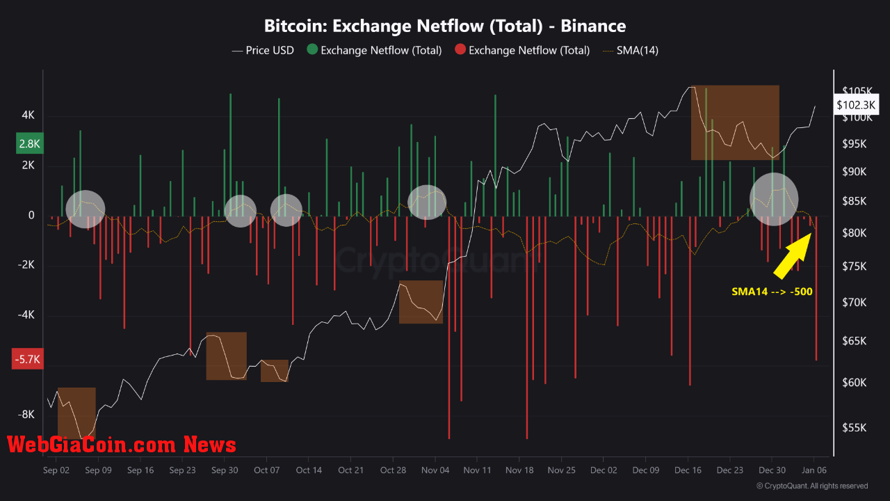 Bitcoin Exchange Netflow. 