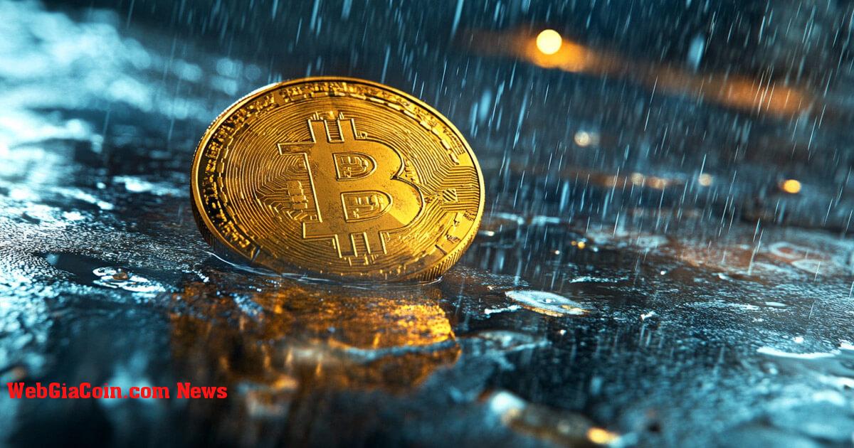 Thanh lý tiền điện tử vẫn ở mức cao 483 triệu đô la khi Bitcoin tiếp tục xu hướng giảm xuống còn 92,5 nghìn đô la