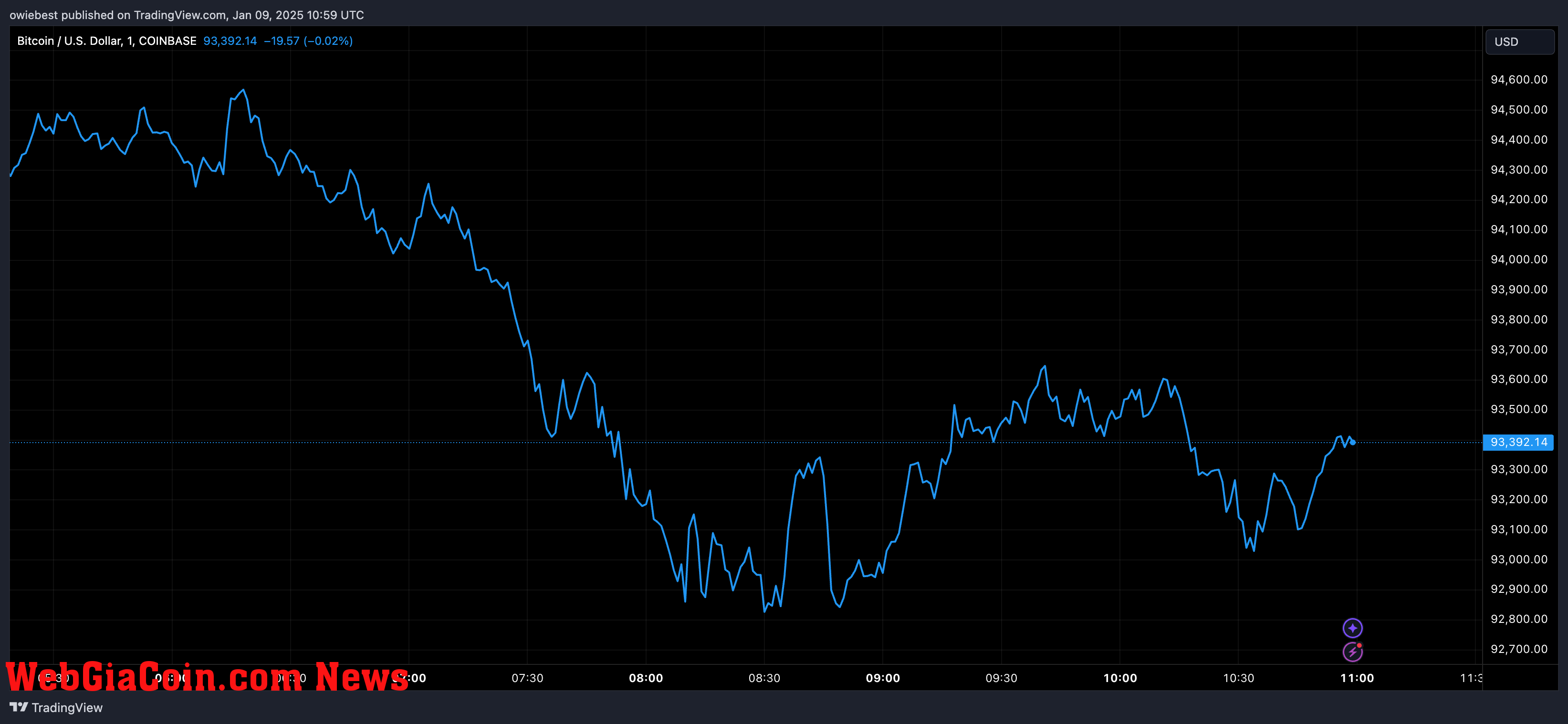 Bitcoin price chart from Tradingview.com