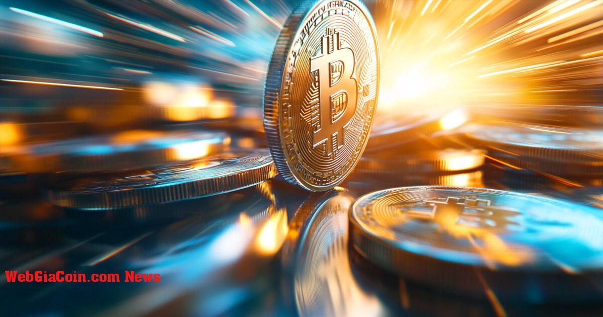 Các ETF Bitcoin giao ngay kỷ niệm sinh nhật lần thứ nhất với 1,13 triệu BTC được quản lý