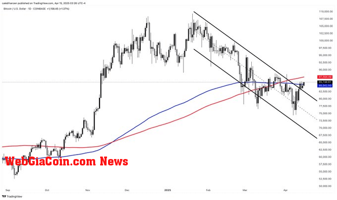 Bitcoin downtrend breakout (Source: Caleb Franzen)