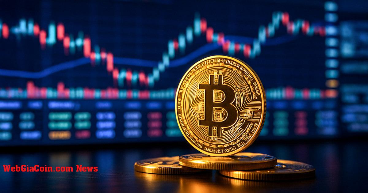 Dòng tiền đổ vào nền tảng giao dịch Bitcoin cho thấy hoạt động của các tổ chức lớn, hầu như không có hoạt động bán LTH