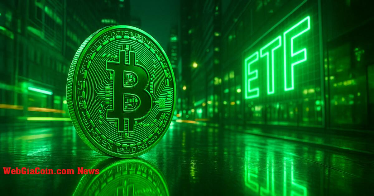 ETF Bitcoin giao ngay lập tức lập kỷ lục dòng tiền trọn đời ở mức 40,3 tỷ đô la khi giá phục hồi