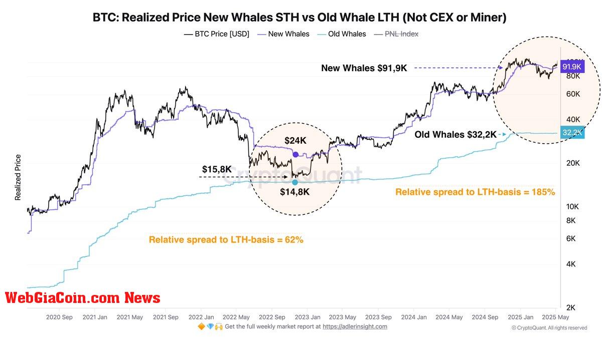 Bitcoin Realized Price New Whales STH vs Old Whale LTH | Source: Axel Adler on X