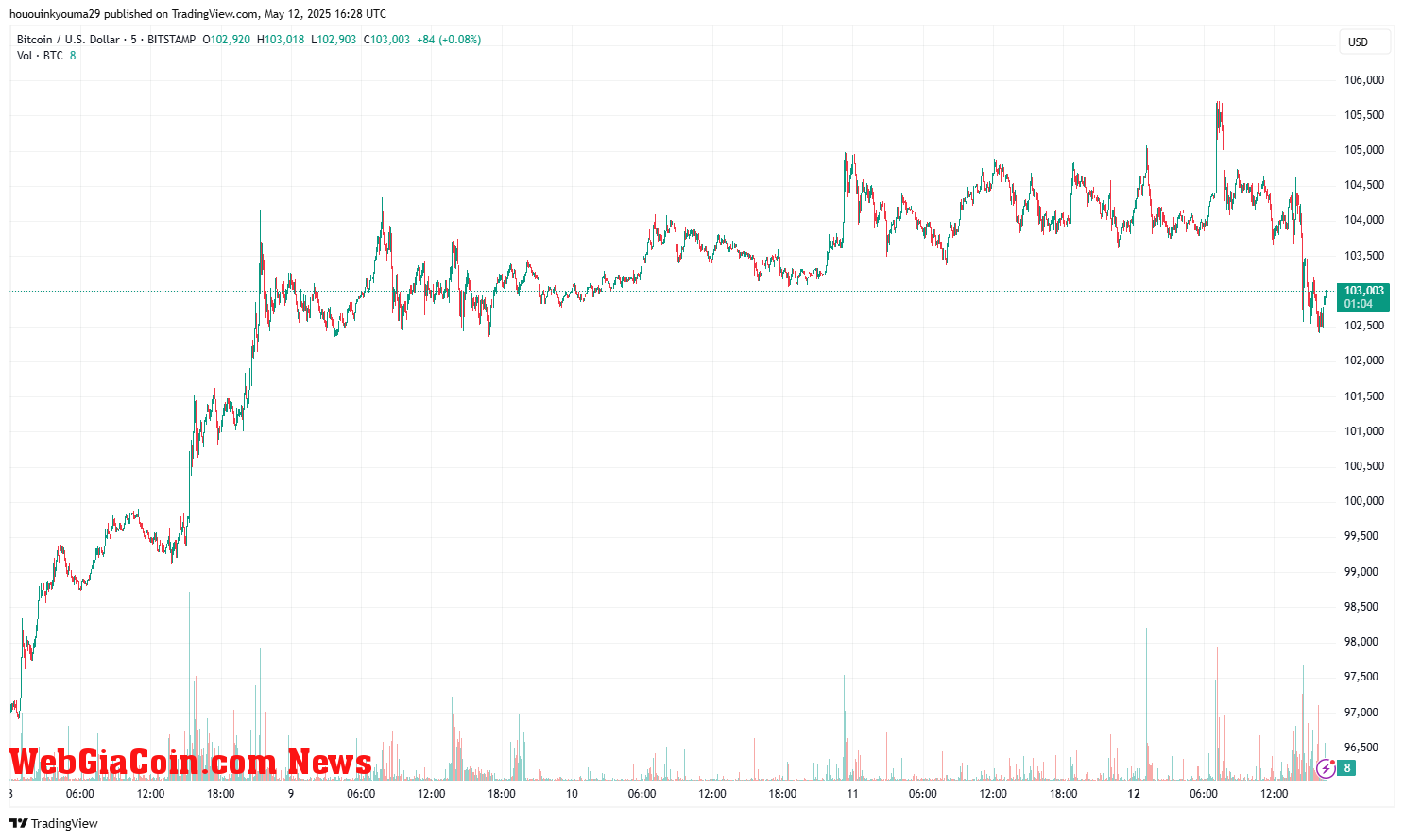 Bitcoin Price Chart