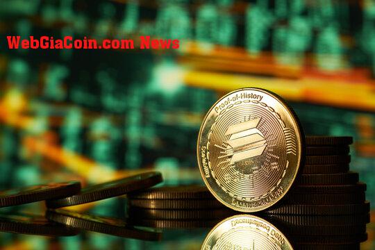 Đường MACD của Solana đang cong lên – liệu đây có phải là điềm báo trước cho sự đột phá?