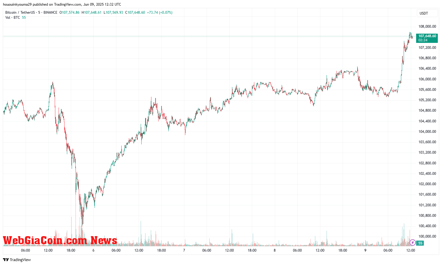 Bitcoin Price Chart
