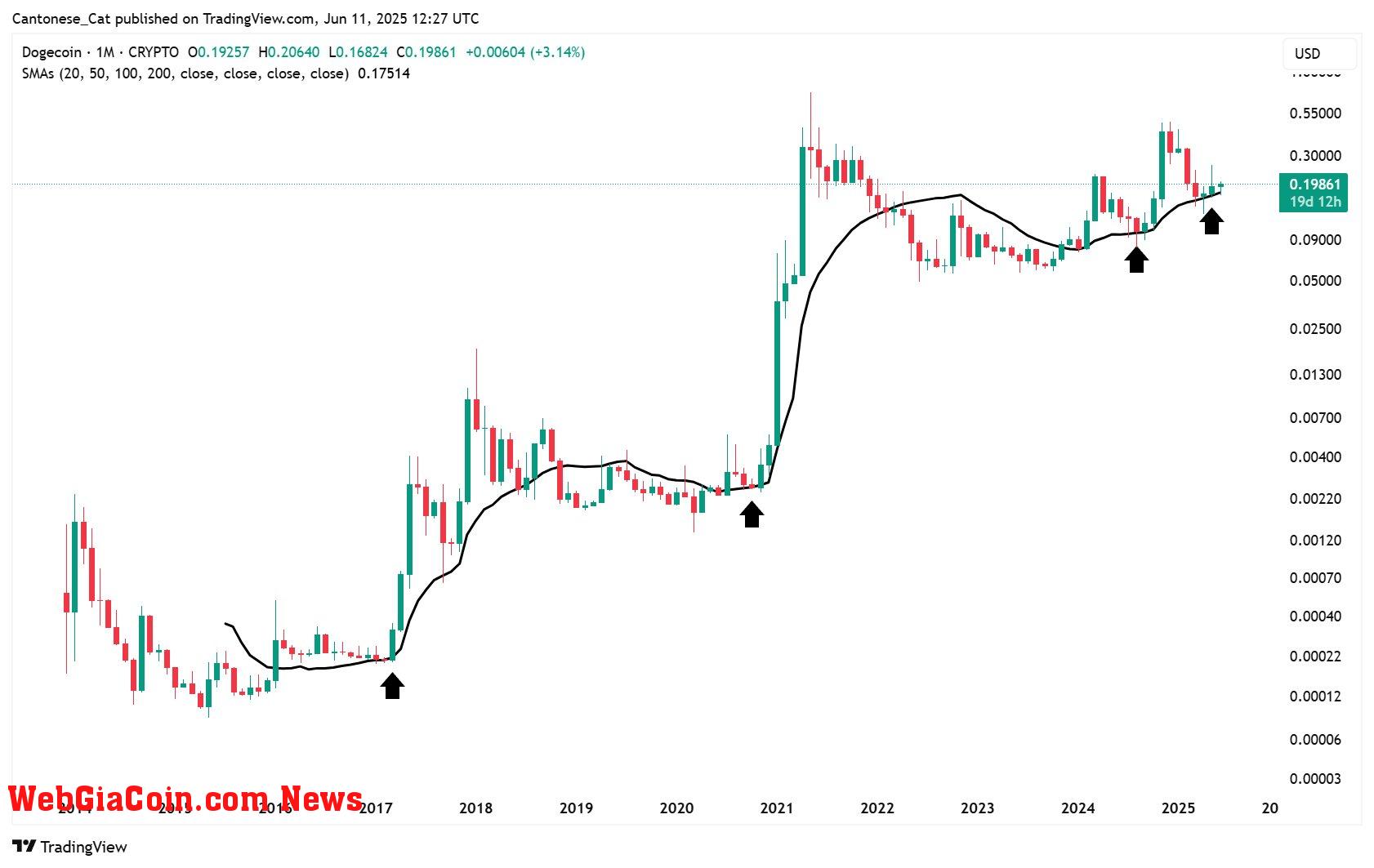 Dogecoin price analysis, monthly chart
