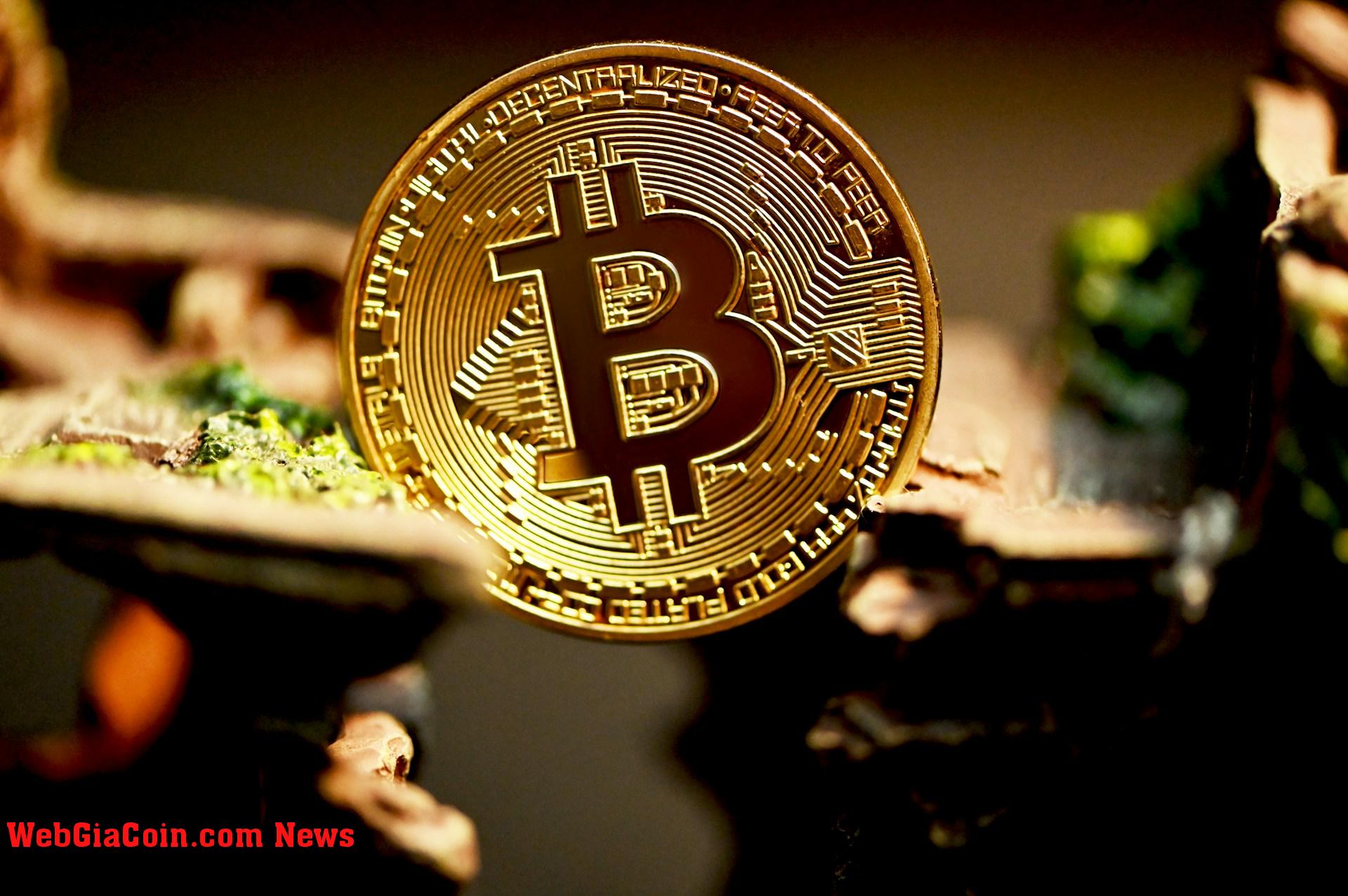 Lượng Bitcoin Whale và dòng tiền bán lẻ đổ vào Binance giảm xuống mức thấp nhất trong chu kỳ, liệu còn có triển vọng tăng trưởng nào nữa không?