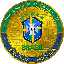 Biểu tượng logo của Brazil National Fan Token