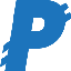 Biểu tượng logo của PayNet Coin