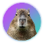 Biểu tượng logo của Capybara