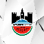 Biểu tượng logo của Diyarbekirspor Token