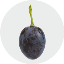 Biểu tượng logo của Grape