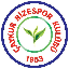 Biểu tượng logo của Rizespor Token