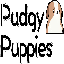 Biểu tượng logo của Pudgy Pups Club[new]