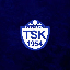 Biểu tượng logo của Tuzlaspor Token