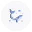 Biểu tượng logo của Moby Dick V2