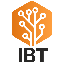 Biểu tượng logo của International Blockchain Technology