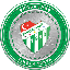 Biểu tượng logo của Bursaspor Fan Token