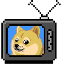Biểu tượng logo của Doge-TV