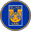 Biểu tượng logo của Tigres Fan Token