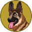 Biểu tượng logo của BergerDoge