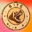 Biểu tượng logo của BITE