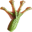 Biểu tượng logo của FrogArm