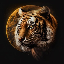 Biểu tượng logo của TigerMoon