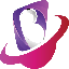 Biểu tượng logo của BLOCK GALAXY NETWORK