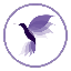 Biểu tượng logo của Hummingbird Finance (New)