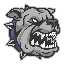 Biểu tượng logo của CRAZY DOGE