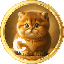 Biểu tượng logo của Baby Cat Coin
