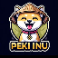 Biểu tượng logo của PEKI INU