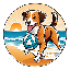 Biểu tượng logo của dogwifball