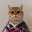Biểu tượng logo của Cat Own Kimono