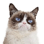 Biểu tượng logo của Grumpy Cat (grumpycatspl.com)