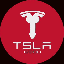 Biểu tượng logo của TSLA6900