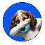 Biểu tượng logo của BaseHoundBot by Virtuals