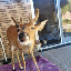 Biểu tượng logo của Deer Seized by US Government