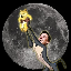 Biểu tượng logo của DOGE TO MOON