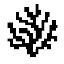 Biểu tượng logo của Coral Protocol