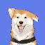 Biểu tượng logo của Hachiko
