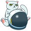 Biểu tượng logo của Cat Token