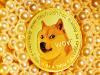 giá bitcoin Dogecoin lên 1 USD: nhà phân tích cho rằng cột mốc trong mơ có thể đạt được trong vài tuần tới