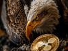 giá bitcoin SEC gọi stablecoin do Ripple đề xuất là 