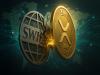 giá bitcoin CEO của Ripple, Brad Garlinghouse, dự đoán XRP sẽ chiếm 14% thị trường SWIFT trong năm năm