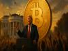 giá bitcoin Cuộc thăm dò của các nhà đầu tư cho thấy 73% chấp thuận chính sách tiền điện tử của Trump, quan điểm lạc quan về việc giá tăng