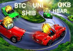 giá bitcoin: SHIB, UNI, OKB và HBAR cho thấy các dấu hiệu tăng giá khi biến động Bitcoin đạt mức thấp kỷ lục